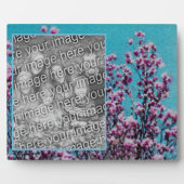 Magnolia Blossoms Blauer Himmel Ristorante da Vale Fotoplatte (Vorderseite)