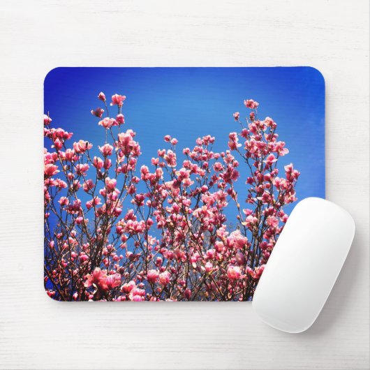 Magnolia Blossoms Blue Sky Blume Mousepad (Mit Mouse)