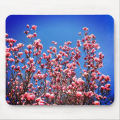 Magnolia Blossoms Blue Sky Blume Mousepad (Vorne)