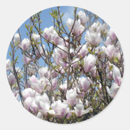 Magnolia blüht im Frühlingsaufkleber Runder Aufkleber