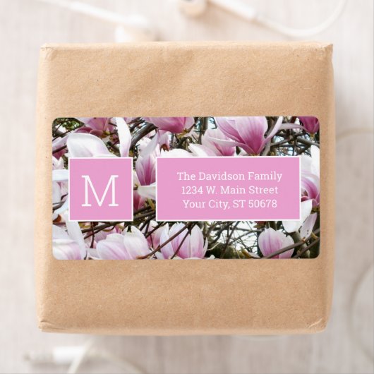 Magnolia-Blume (Insitu)