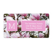 Magnolia-Blume (Vorne)