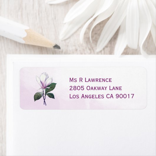 Magnolia-Blume (Insitu)