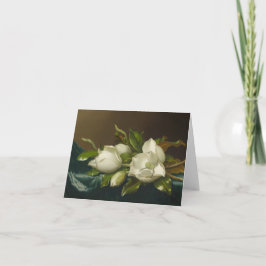 Magnolia-Blume