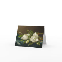 Magnolia-Blume