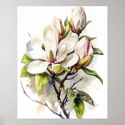 Magnolia Blume Art Print Poster (Vorne)