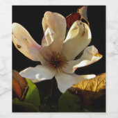 Magnolia Blume auf schwarzem Hintergrund Weinflasc Weinetikett (Einzelnes Label)