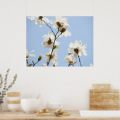 MAGNOLIA Blume Bäume 38 Blauer Kunstdrucke Plakate (Küche)