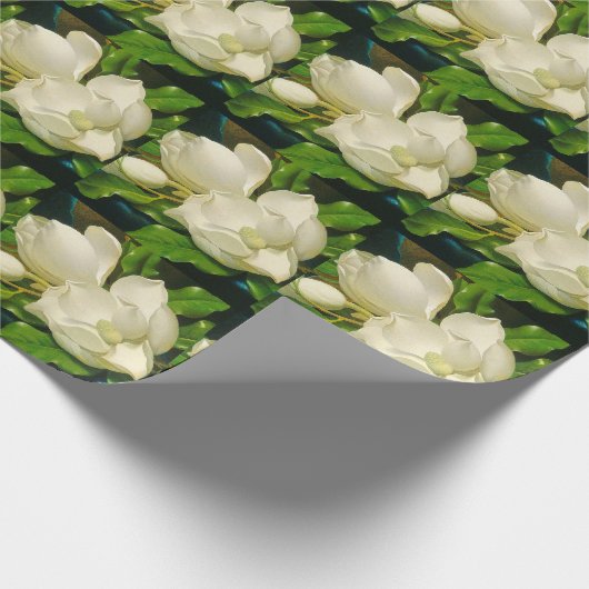 Magnolia-Blume: Blumenpapier Geschenkpapier (Ecke)