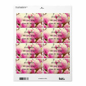Magnolia Blume Botanischer Blumenkohl Chic (Vorne)