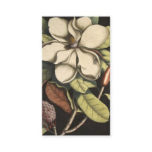 Magnolia Blume Business Card
