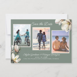 Magnolia Blume Drei Foto Hochzeit speichern das Da Save The Date