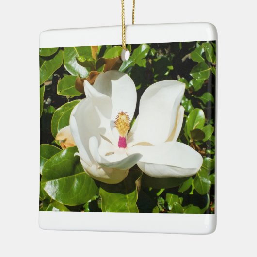 Magnolia-Blume Keramikornament (Links)