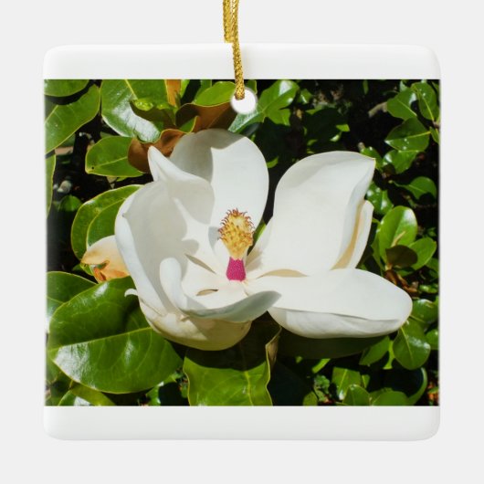 Magnolia-Blume Keramikornament (Vorderseite)