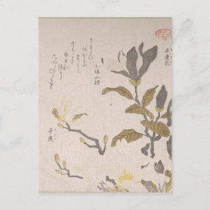 Magnolia Blume - Kubo Shunman (Japanisch) Postkarte