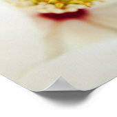 Magnolia Blume Magnolias Blume Poster (Ecke)