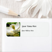 Magnolia-Blume Nah (Insitu)