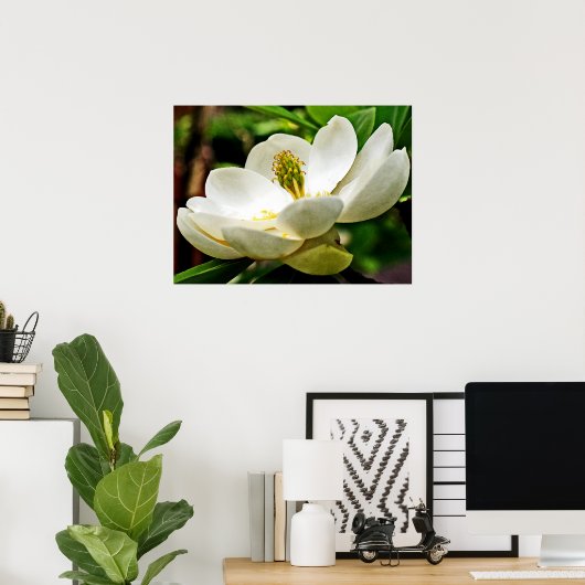 Magnolia-Blume Nah Poster (Heimbüro)