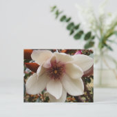 Magnolia-Blume Postkarte (Stehend Vorderseite)