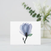 Magnolia-Blume Postkarte (Stehend Vorderseite)