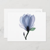 Magnolia-Blume Postkarte (Vorne/Hinten)