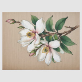 Magnolia-Blume Seidenpapier