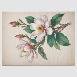 Magnolia-Blume Seidenpapier