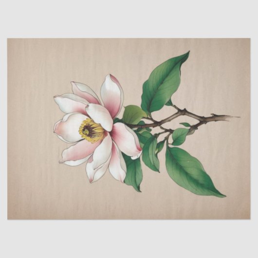 Magnolia-Blume Seidenpapier (Vorderseite)