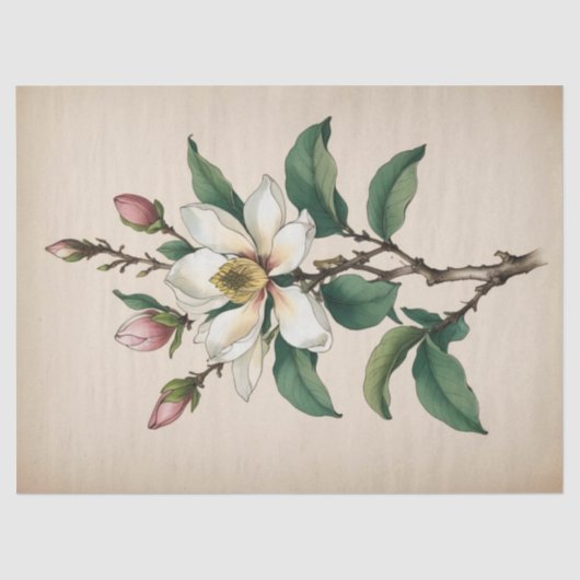 Magnolia-Blume Seidenpapier (Vorderseite)