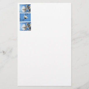 Magnolia Blume Stationery Spring Florals Briefpapier