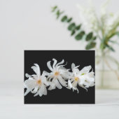Magnolia Blume Trio Postkarte (Stehend Vorderseite)