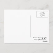 Magnolia Blume Trio Postkarte (Rückseite)
