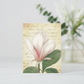 Magnolia Blume Vintag Botanisch Postkarte (Stehend Vorderseite)