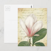 Magnolia Blume Vintag Botanisch Postkarte (Vorne/Hinten)