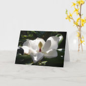 Magnolia Blumenfotografie Grußkarte Kunst Karte (Gelbe Blume)