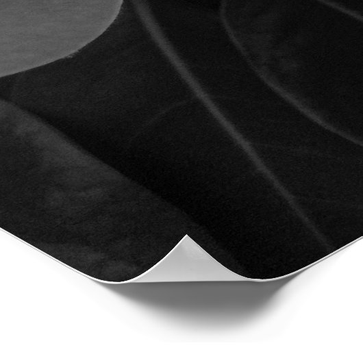 Magnolia Blüte in Schwarz und Weiß Poster (Ecke)