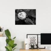Magnolia Blüte in Schwarz und Weiß Poster (Heimbüro)