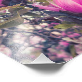 Magnolia-Blüten Fotodruck (Ecke)