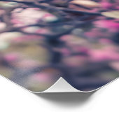 Magnolia-Blüten Poster (Ecke)