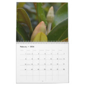 Magnolia Blüten Schöne Fotografie Kalender (Feb 2026)