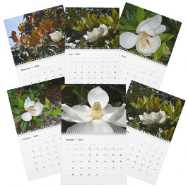 Magnolia Blüten Schöne Fotografie Kalender
