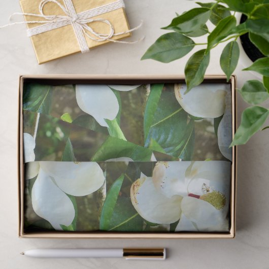 Magnolia Blütenzettel Seidenpapier (Geschenk)