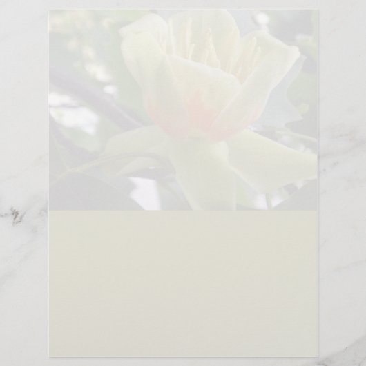 Magnolia-Briefpapier gerecycelt (Vorderseite)