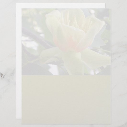 Magnolia-Briefpapier gerecycelt (Vorne/Hinten)