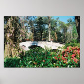 Magnolia-Brücke Poster (Vorne)