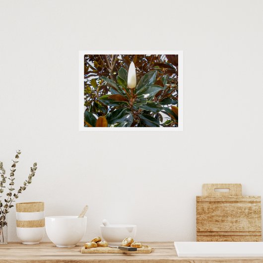 Magnolia Bud Poster (Küche)