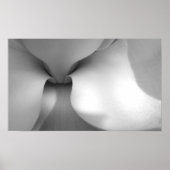 Magnolia Canvas Print Poster (Vorne)