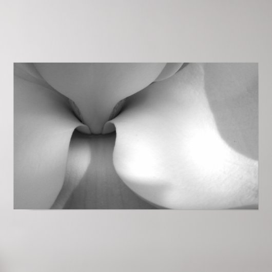 Magnolia Canvas Print Poster (Vorne)