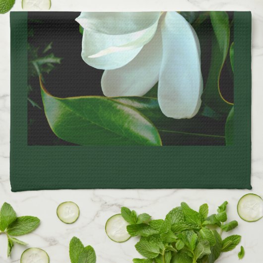 Magnolia Closeup Geschirrtuch (Gefaltet)