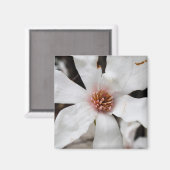 Magnolia Closeup Magnet (Vorderseite/Rückseite)